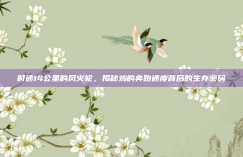 时速14公里的风火轮，揭秘鸡的奔跑速度背后的生存密码