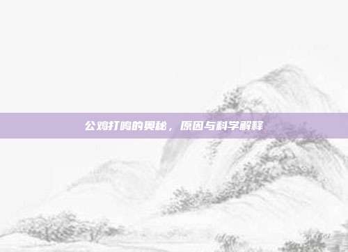 公鸡打鸣的奥秘，原因与科学解释