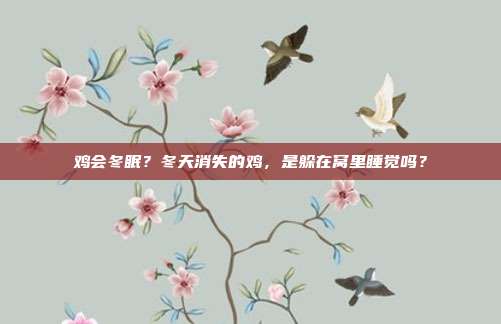 鸡会冬眠？冬天消失的鸡，是躲在窝里睡觉吗？