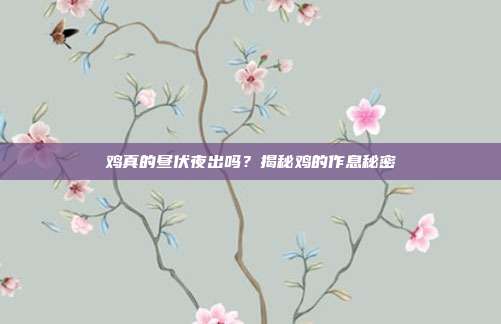 鸡真的昼伏夜出吗？揭秘鸡的作息秘密