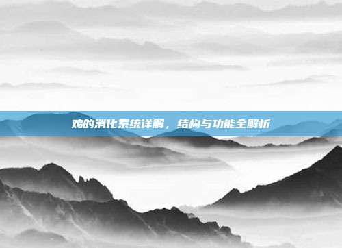 鸡的消化系统详解，结构与功能全解析