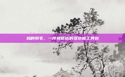 鸡的羽毛，一件被低估的多功能工具包