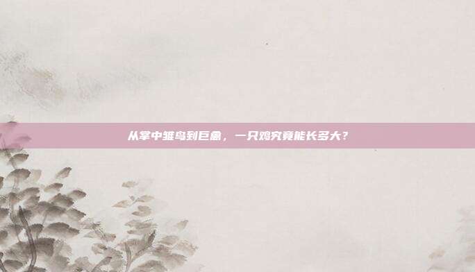 从掌中雏鸟到巨禽，一只鸡究竟能长多大？