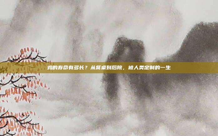 鸡的寿命有多长？从餐桌到后院，被人类定制的一生
