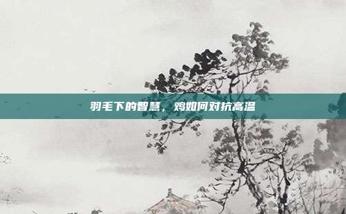 羽毛下的智慧，鸡如何对抗高温