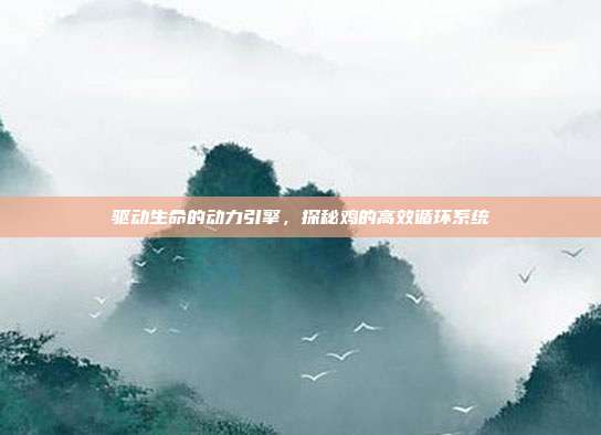 驱动生命的动力引擎，探秘鸡的高效循环系统