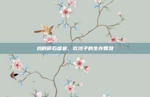 鸡的碎石盛宴，吃沙子的生存智慧