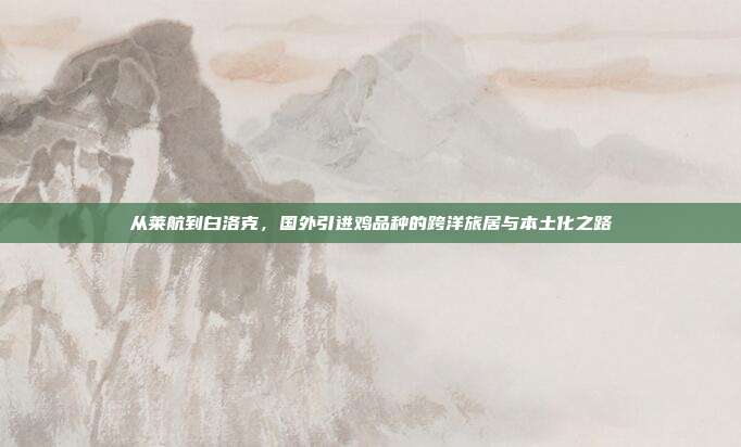 从莱航到白洛克，国外引进鸡品种的跨洋旅居与本土化之路