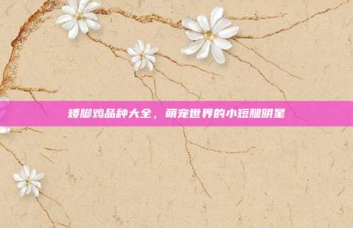 矮脚鸡品种大全，萌宠世界的小短腿明星