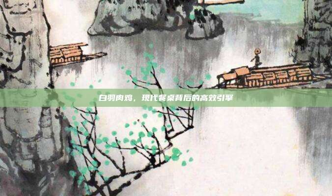 白羽肉鸡，现代餐桌背后的高效引擎
