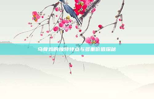 乌骨鸡的独特特点与多重价值探秘