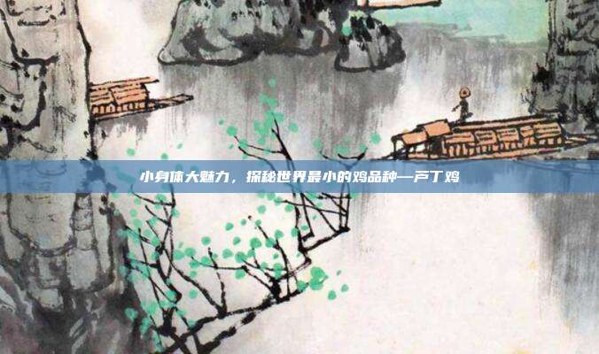 小身体大魅力，探秘世界最小的鸡品种—芦丁鸡