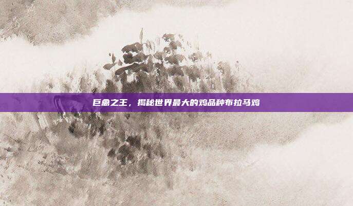巨禽之王，揭秘世界最大的鸡品种布拉马鸡