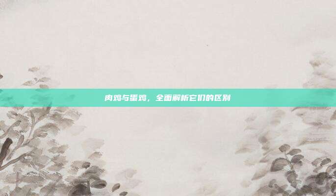 肉鸡与蛋鸡，全面解析它们的区别