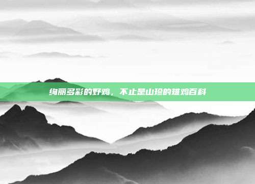 绚丽多彩的野鸡，不止是山珍的雉鸡百科