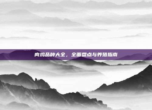 肉鸡品种大全，全面盘点与养殖指南