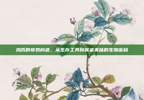 鸡爪的奇妙构造，从生存工具到餐桌美味的生物密码