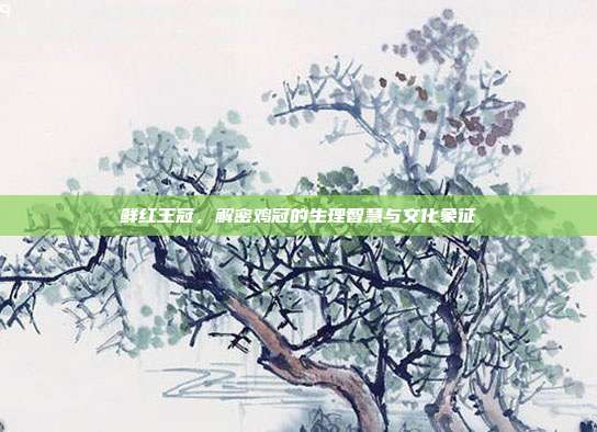鲜红王冠，解密鸡冠的生理智慧与文化象征