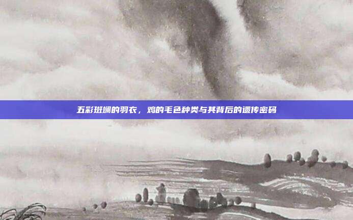 五彩斑斓的羽衣，鸡的毛色种类与其背后的遗传密码