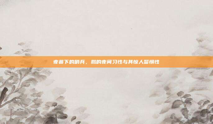 夜幕下的哨兵，鹅的夜间习性与其惊人警惕性