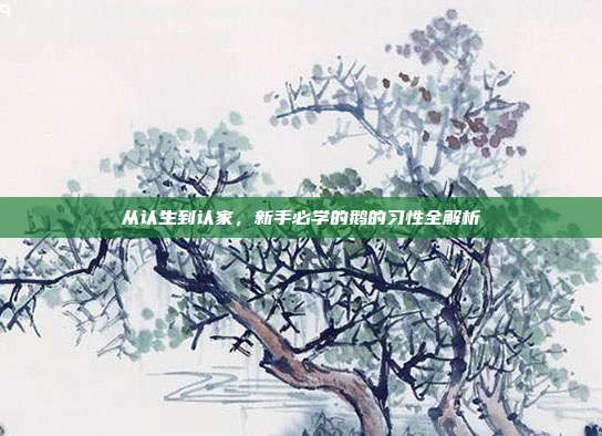 从认生到认家，新手必学的鹅的习性全解析