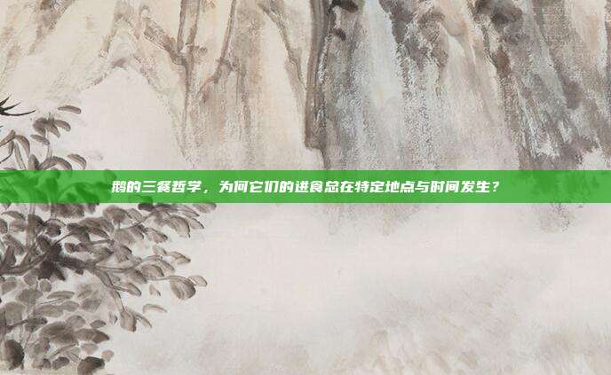 鹅的三餐哲学，为何它们的进食总在特定地点与时间发生？