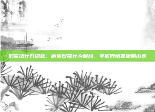鹅言鹅行有深意，解读日常行为密码，掌握养殖健康晴雨表