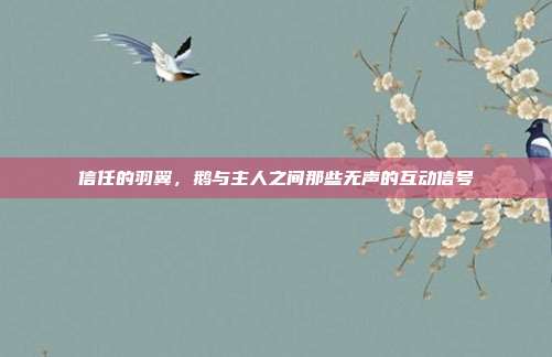 信任的羽翼，鹅与主人之间那些无声的互动信号