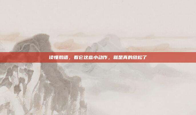 读懂鹅语，看它这些小动作，就是真的放松了