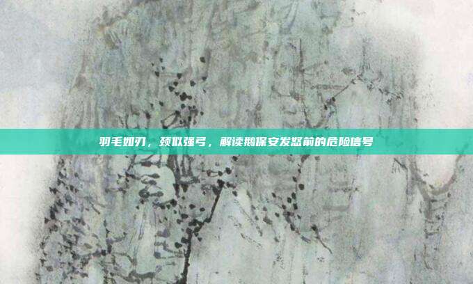 羽毛如刃，颈似强弓，解读鹅保安发怒前的危险信号
