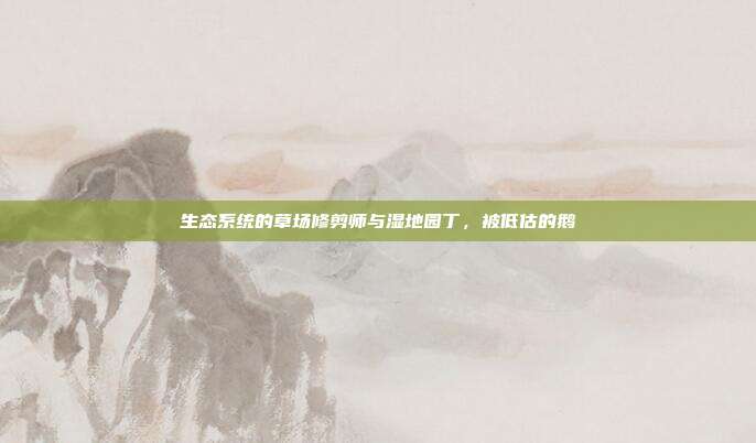 生态系统的草场修剪师与湿地园丁，被低估的鹅