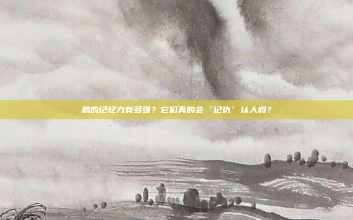鹅的记忆力有多强？它们真的会‘记仇’认人吗？