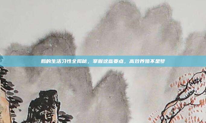 鹅的生活习性全揭秘，掌握这些要点，高效养殖不是梦