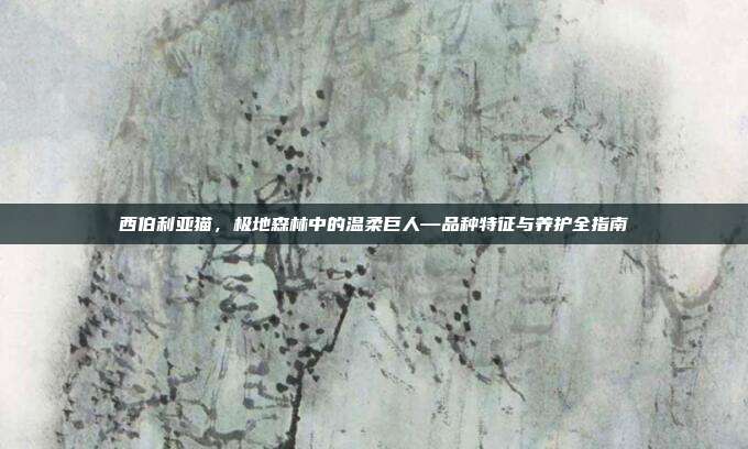 西伯利亚猫，极地森林中的温柔巨人—品种特征与养护全指南