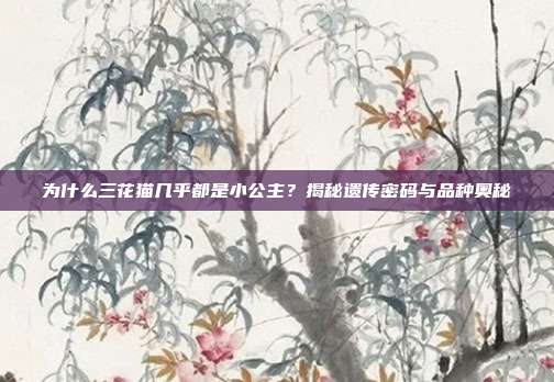 为什么三花猫几乎都是小公主？揭秘遗传密码与品种奥秘