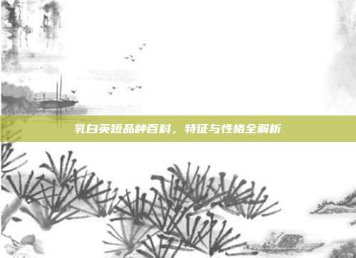 乳白英短品种百科，特征与性格全解析