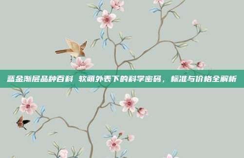 蓝金渐层品种百科 软萌外表下的科学密码，标准与价格全解析