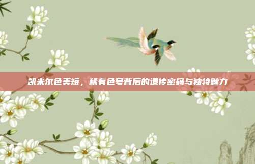凯米尔色美短，稀有色号背后的遗传密码与独特魅力