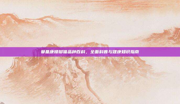 曼基康矮脚猫品种百科，全面科普与健康知识指南