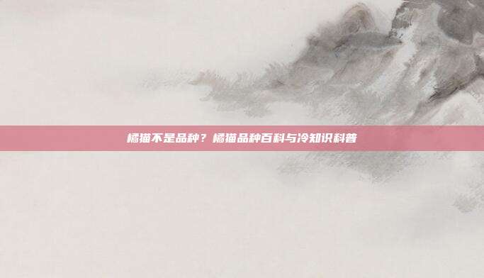 橘猫不是品种？橘猫品种百科与冷知识科普
