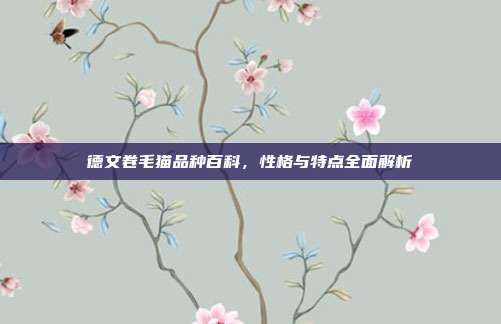 德文卷毛猫品种百科，性格与特点全面解析