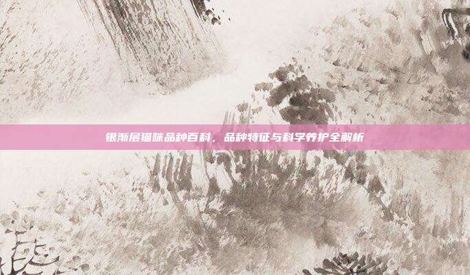 银渐层猫咪品种百科，品种特征与科学养护全解析
