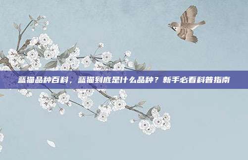蓝猫品种百科，蓝猫到底是什么品种？新手必看科普指南