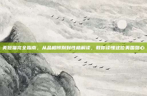美短猫完全指南，从品相辨别到性格解读，教你读懂这位美国甜心