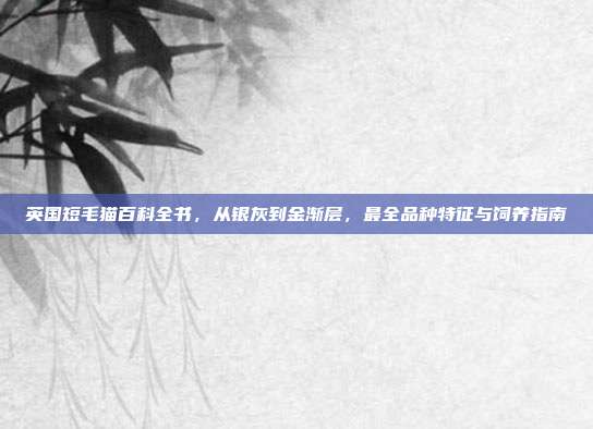 英国短毛猫百科全书，从银灰到金渐层，最全品种特征与饲养指南