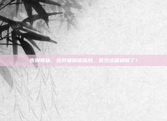 告别异味，选对猫咪除味剂，看完这篇就够了！