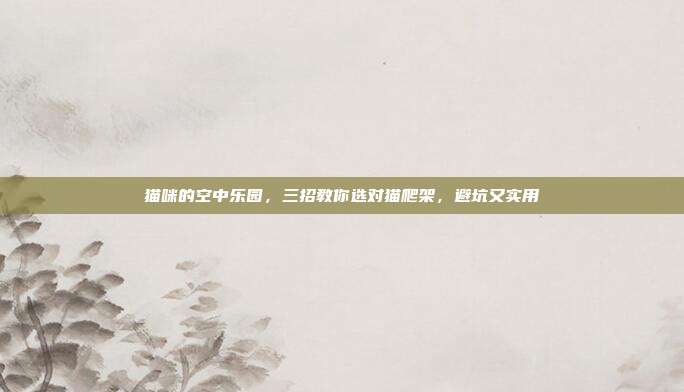 猫咪的空中乐园，三招教你选对猫爬架，避坑又实用