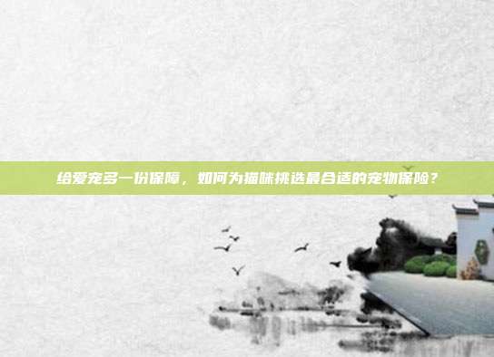 给爱宠多一份保障，如何为猫咪挑选最合适的宠物保险？