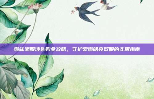 猫咪滴眼液选购全攻略，守护爱猫明亮双眼的实用指南