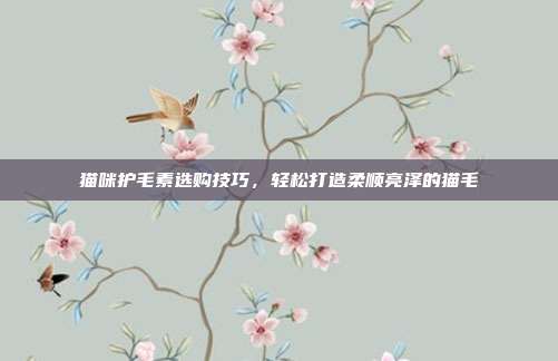 猫咪护毛素选购技巧，轻松打造柔顺亮泽的猫毛